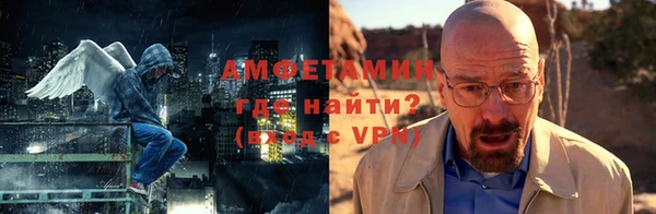сатива Беломорск
