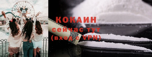 сатива Беломорск