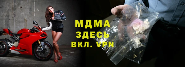 сатива Беломорск