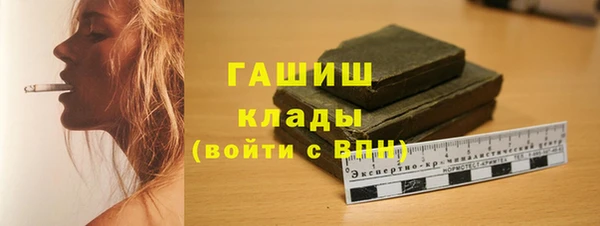 сатива Беломорск