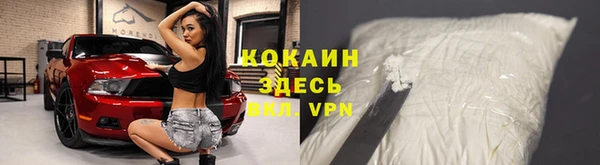 сатива Беломорск