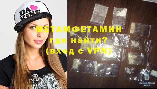 сатива Беломорск