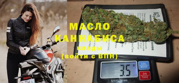сатива Беломорск