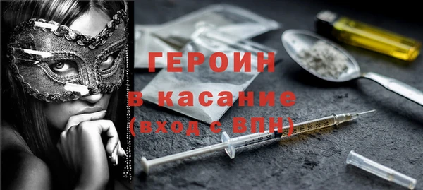 сатива Беломорск