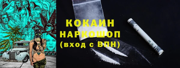 сатива Беломорск