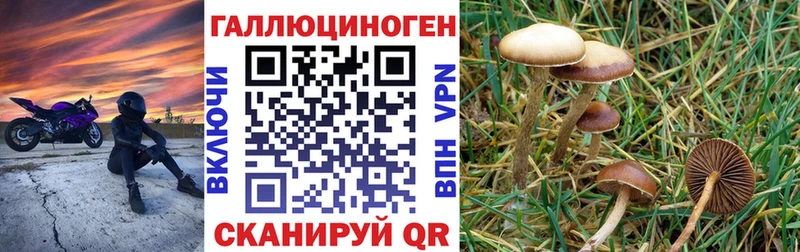 Галлюциногенные грибы мицелий  купить закладку  Новокузнецк 